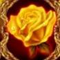 Скаттер символ - золотая роза