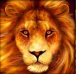 Дикий символ - король Лев