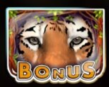 Бонусный символ - тигр